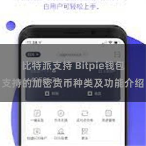 比特派支持 Bitpie钱包支持的加密货币种类及功能介绍