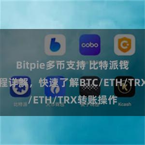 Bitpie多币支持 比特派钱包转账教程详解，快速了解BTC/ETH/TRX转账操作