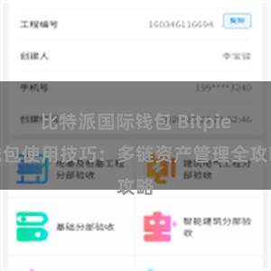 比特派国际钱包 Bitpie钱包使用技巧：多链资产管理全攻略