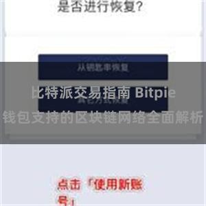 比特派交易指南 Bitpie钱包支持的区块链网络全面解析