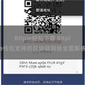 Bitpie轻松下载 Bitpie钱包支持的区块链网络全面解析