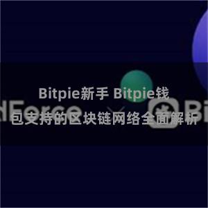 Bitpie新手 Bitpie钱包支持的区块链网络全面解析