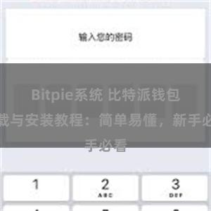 Bitpie系统 比特派钱包下载与安装教程：简单易懂，新手必看