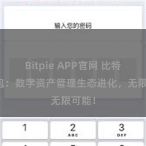 Bitpie APP官网 比特派钱包：数字资产管理生态进化，无限可能！