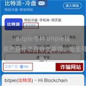 Bitpie币种 Bitpie钱包：资产百分之百自主掌控，安全可靠！