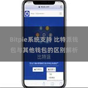 Bitpie系统支持 比特派钱包与其他钱包的区别解析