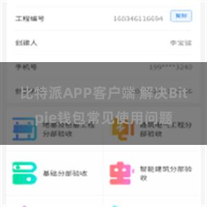 比特派APP客户端 解决Bitpie钱包常见使用问题