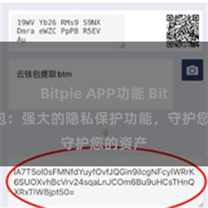 Bitpie APP功能 Bitpie钱包：强大的隐私保护功能，守护您的资产