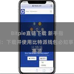 Bitpie直链下载 新手指南：下载并使用比特派钱包必知事项