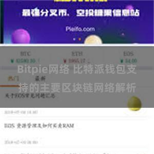 Bitpie网络 比特派钱包支持的主要区块链网络解析