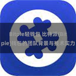 Bitpie轻钱包 比特派(Bitpie)钱包的团队背景与技术实力