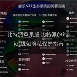 比特派苹果版 比特派(Bitpie)钱包隐私保护指南