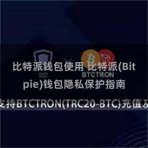 比特派钱包使用 比特派(Bitpie)钱包隐私保护指南