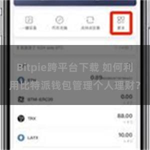 Bitpie跨平台下载 如何利用比特派钱包管理个人理财？