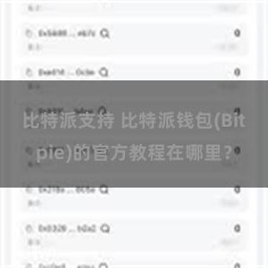 比特派支持 比特派钱包(Bitpie)的官方教程在哪里？