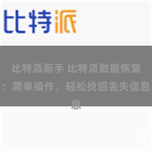 比特派新手 比特派数据恢复：简单操作，轻松找回丢失信息