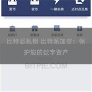 比特派私钥 比特派加密：保护您的数字资产