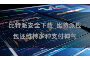 比特派安全下载  比特派钱包还维持多种支付神气