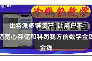 比特派多链资产  让用户不错宽心存储和科罚我方的数字金钱