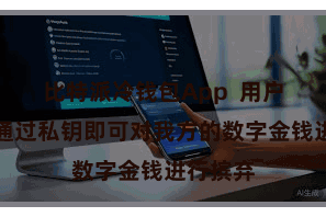 比特派冷钱包App  用户只需要通过私钥即可对我方的数字金钱进行摈弃