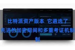 比特派资产版本  它遴选了先进的加密期间和多重考证机制